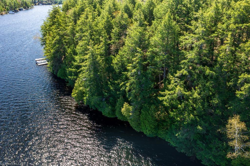 Tondern Island - Lot 5 6 GetMedia 15 1